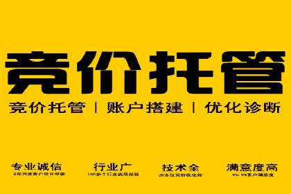 SEM竞价优化实战经验分享：成功案例背后的秘密